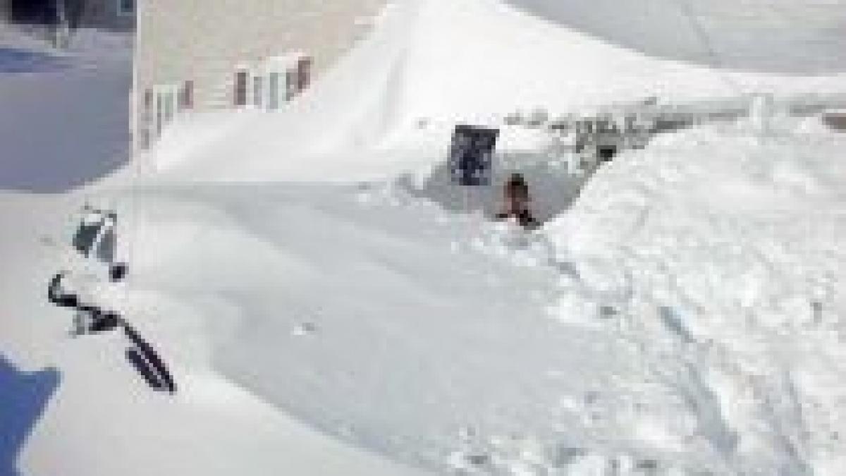 25 de grade la miercurea ciuc