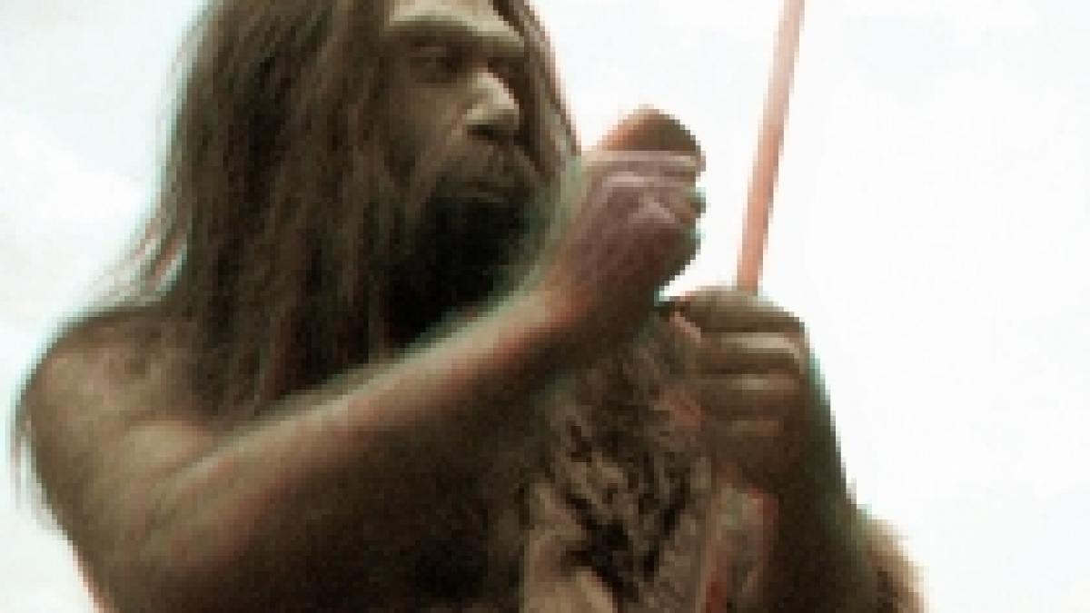 omul de neanderthal readus la viata prin noile tehnici de clonare
