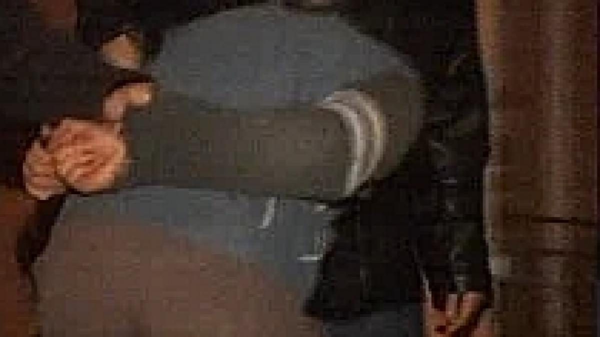 fratele lui sile pietroi prins in timp ce spargea un apartamentul unui afacerist din capitala