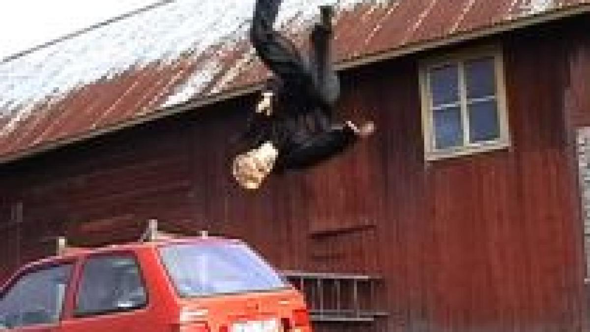 a murit viorel ivanica unul dintre primii cascadori romani