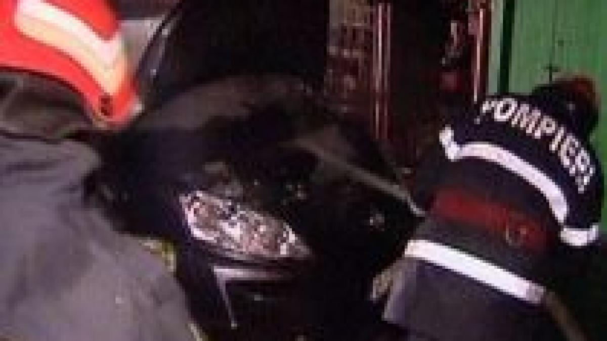 infotrafic un tanar de bani gata la un pas de a omori mai multi pitesteni cu bolidul sau