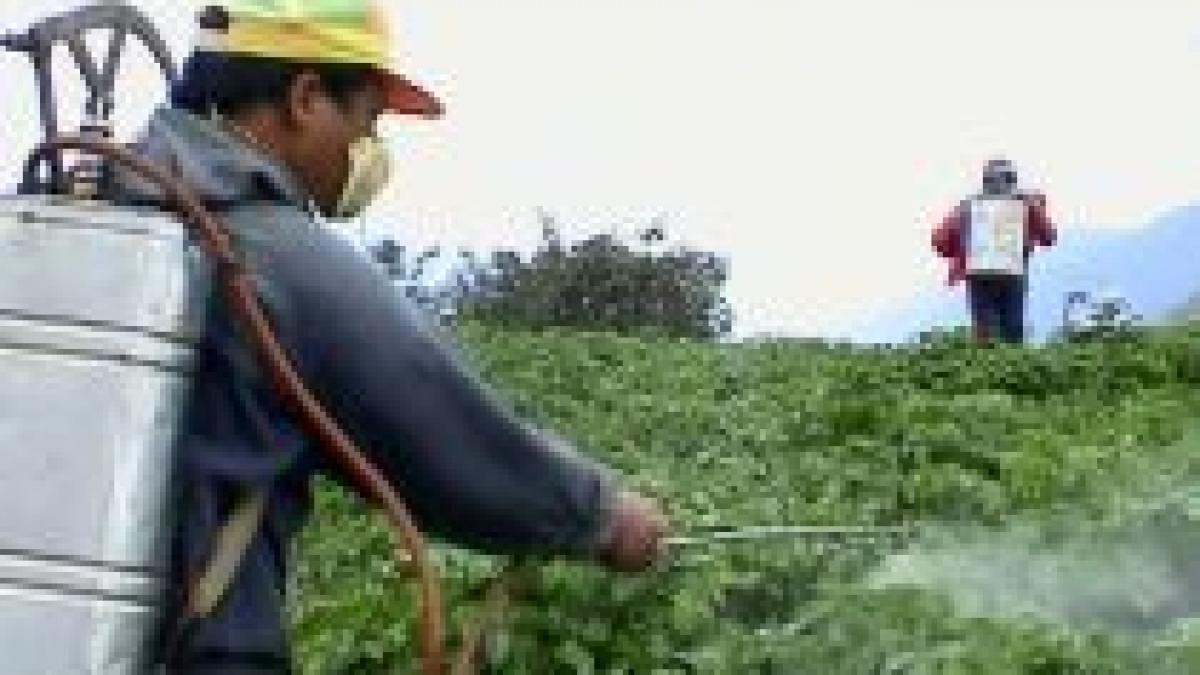 europarlamentarii au votat pentru un control mai strict al pesticidelor