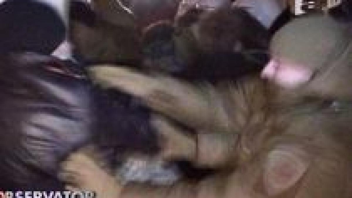 proteste violente in letonia mii de persoane au cerut alegeri anticipate