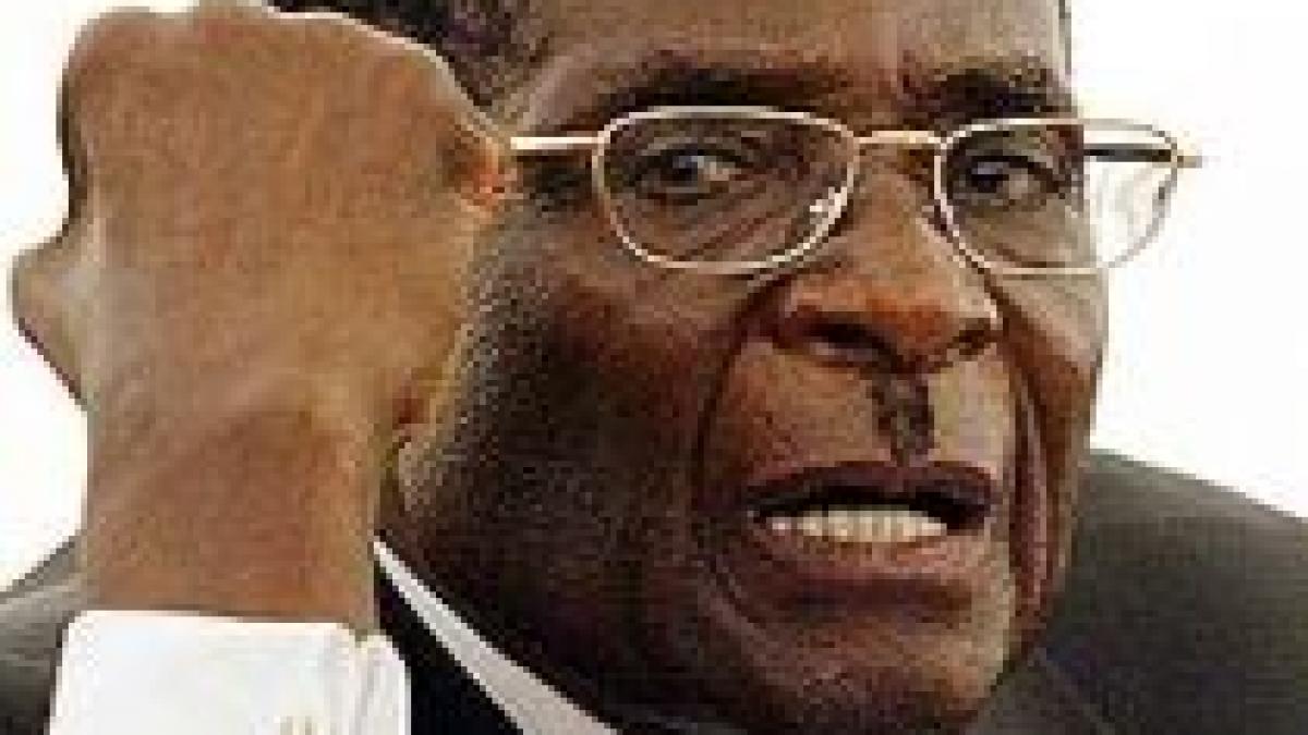 fotoreporter britanic agresat de sotia presedintelui din zimbabwe robert mugabe