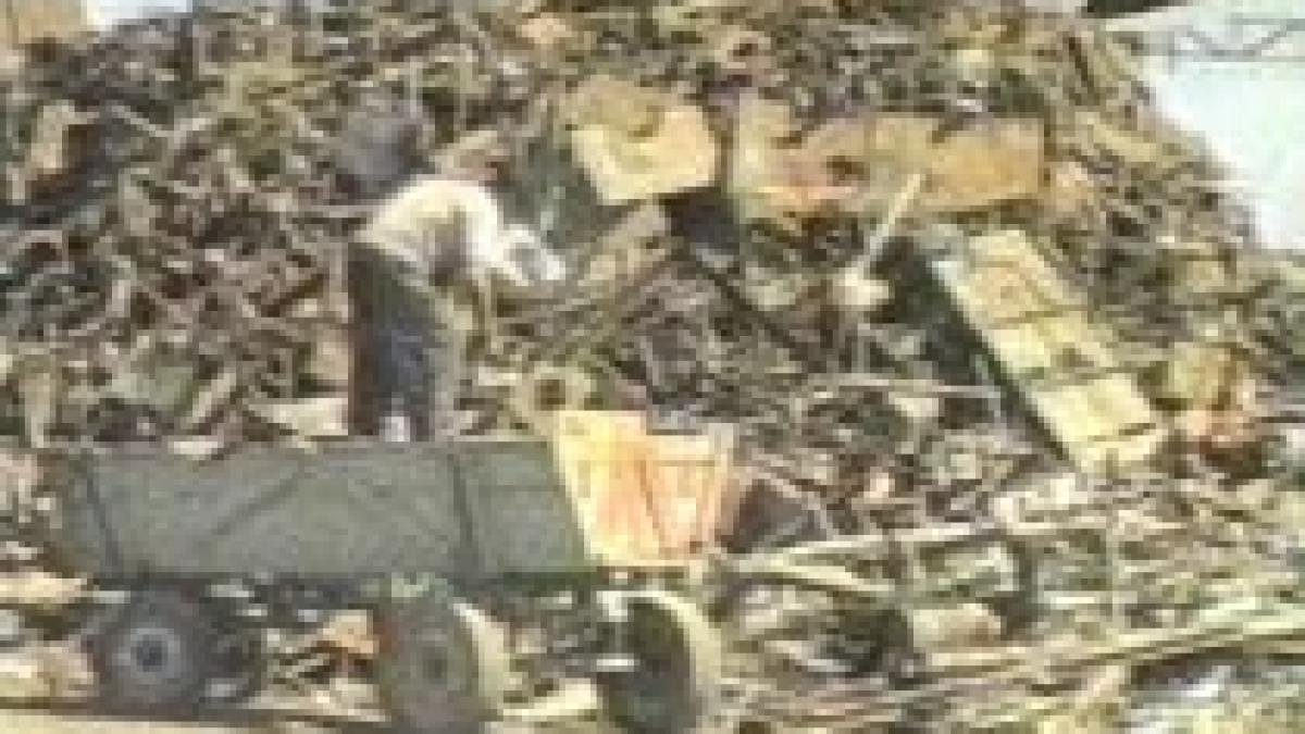 reportaj bbc rromii de origine romana care vand fier vechi loviti de criza economica