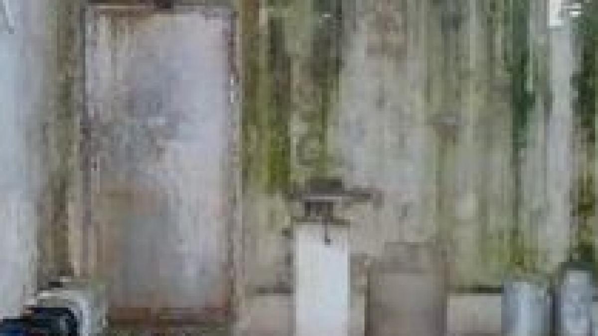 sobolani animale moarte si mizerie de nedescris la o ferma de lapte din satu mare