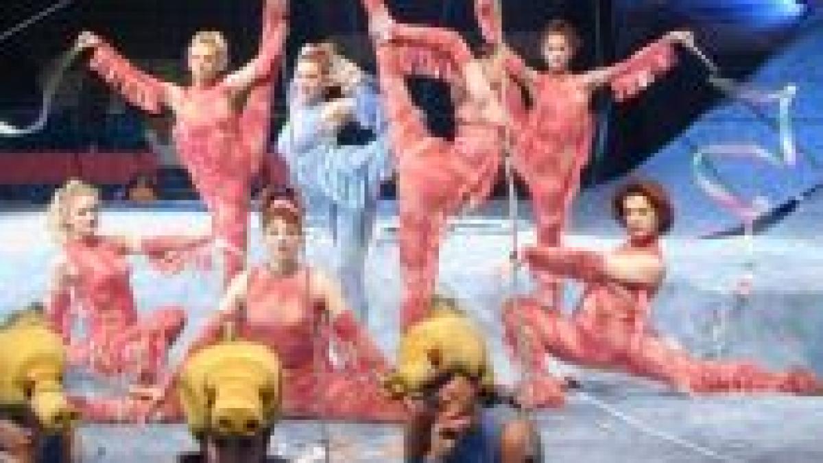 prejudiciu de cateva miliarde de lei vechi la circul globus descoperit de inspectorii curtii de