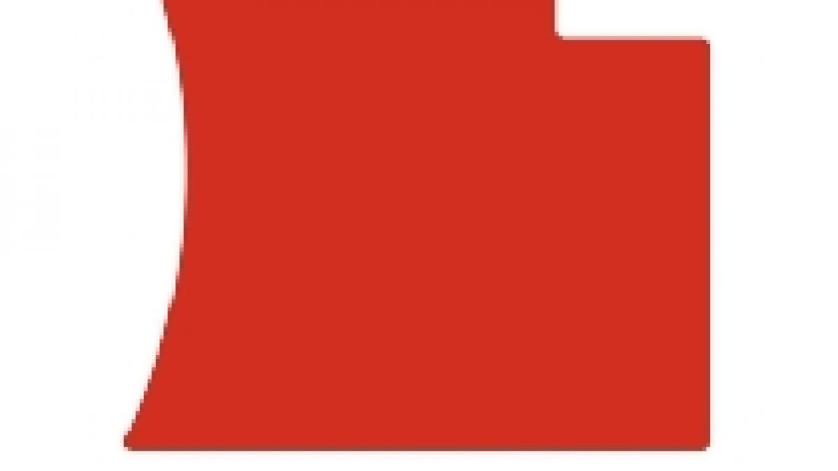 arad fabrica de centuri de siguranta takata petri concediaza 223 de angajati