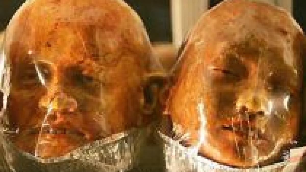 pe urmele canibalilor cum sa mananci un cap de om fara sa fii bagat la inchisoare video