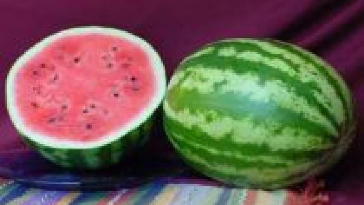 pepenele verde contine o substanta cu efecte asemanatoare pastilei viagra