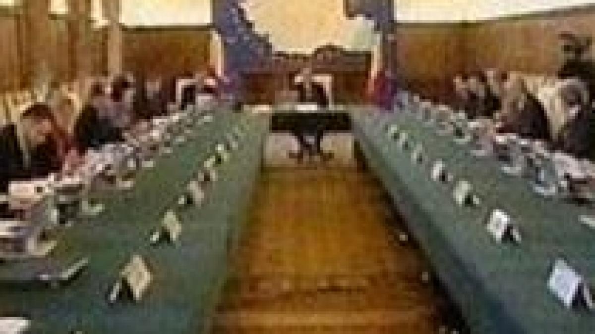 executivul se reuneste pentru a discuta proiectul de buget pe 2009