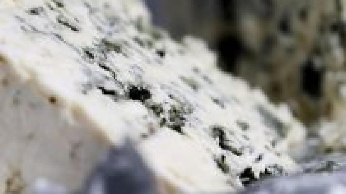 franta si sua duc razboiul branzei parisul vrea taxe mai mari pentru importul de coca cola