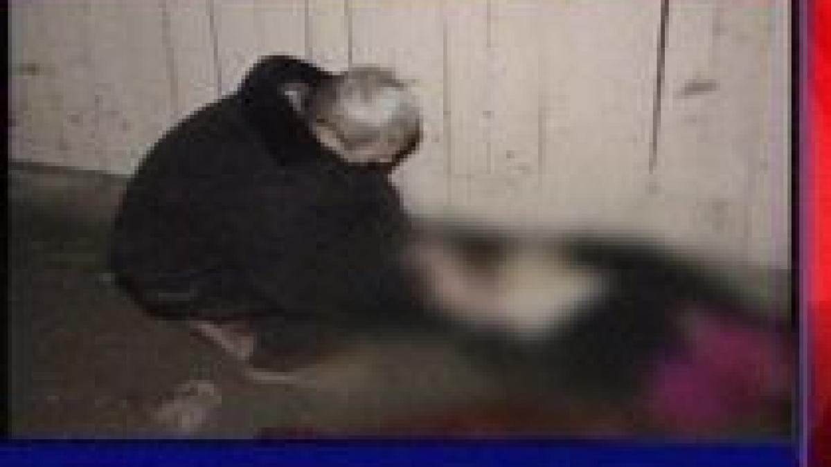 iasi o tanara a murit in acelasi loc in care mai fusese accidentata in urma cu patru ani