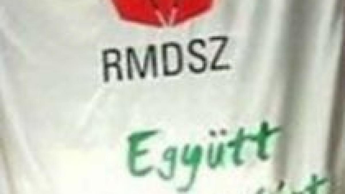 udmr tineti aproape pd l asigura uniunii posturi guvernamentale si in administratia locala