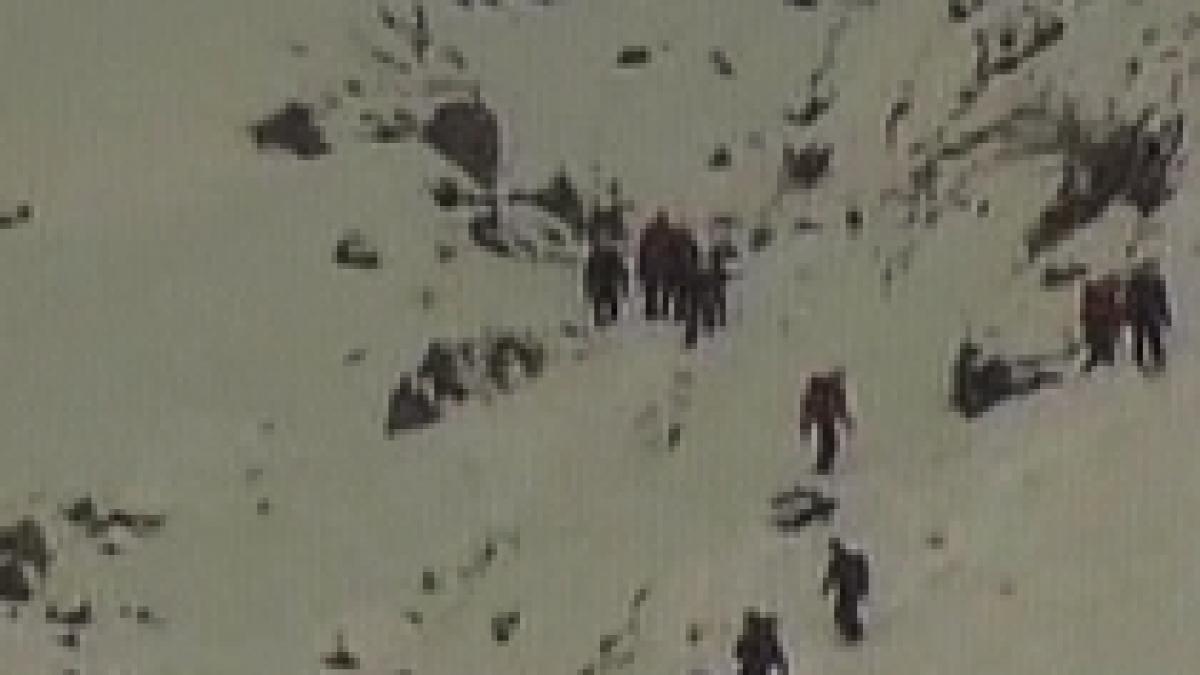 europa 17 oameni au murit in urma avalanselor din ultima perioada