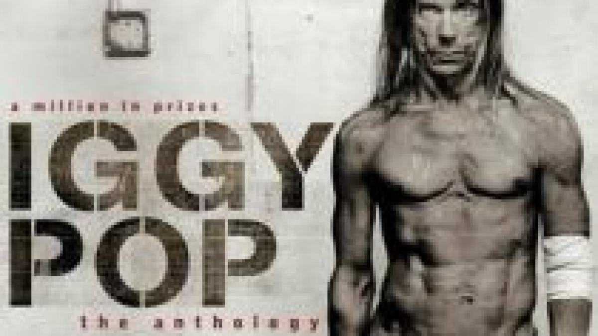 iggy pop the stooges nu mai vin la b estfest