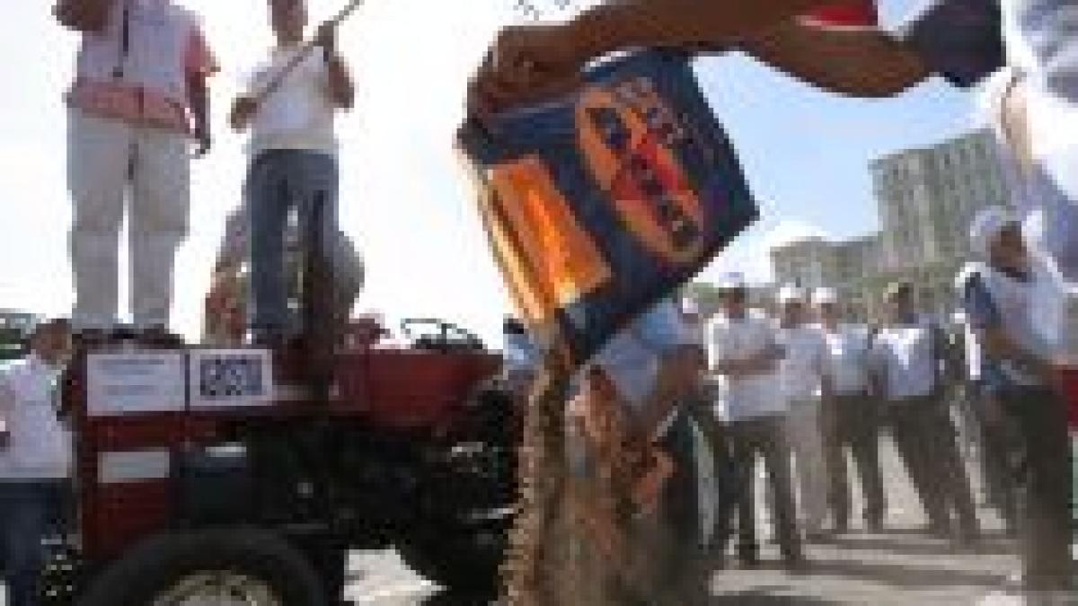 tepele date de statul roman profit de 100 milioane euro din diferenta de schimb la care sunt