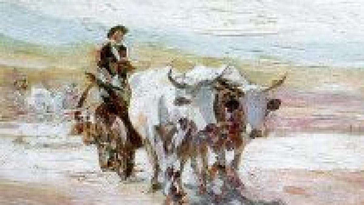 carul cu boi de nicolae grigorescu scos la licitatie