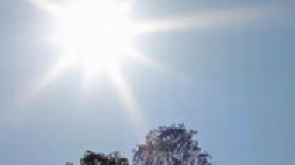 val de canicula fara precedent in australia aproape 30 de oameni au murit