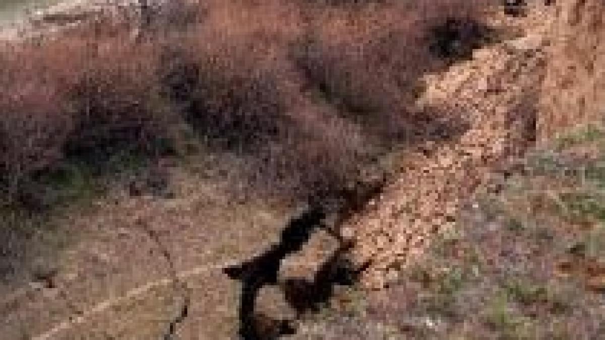 alunecare de teren in mehedinti cinci localitati sunt izolate