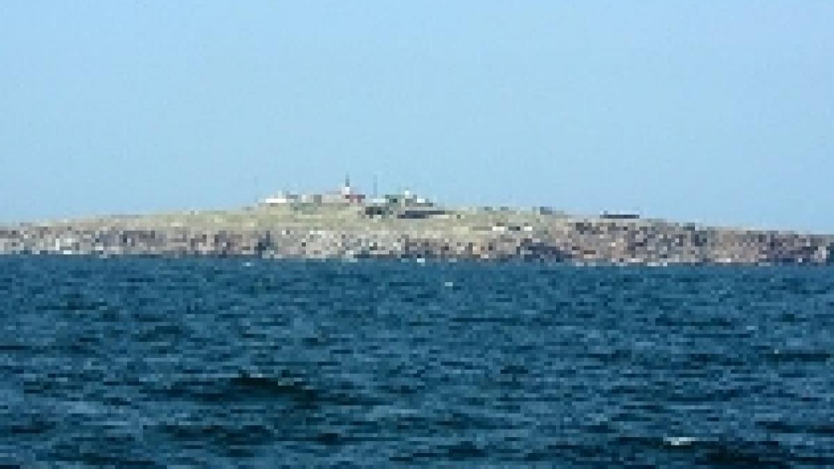 concesionarile din zona insulei serpilor nicolae vidu a demisionat din functia detinuta la rompetrol