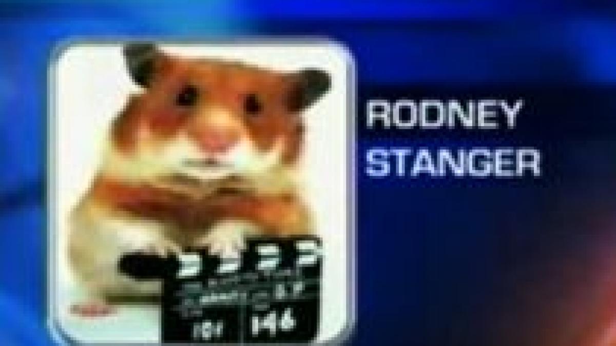 hamster suspect de crima in california video