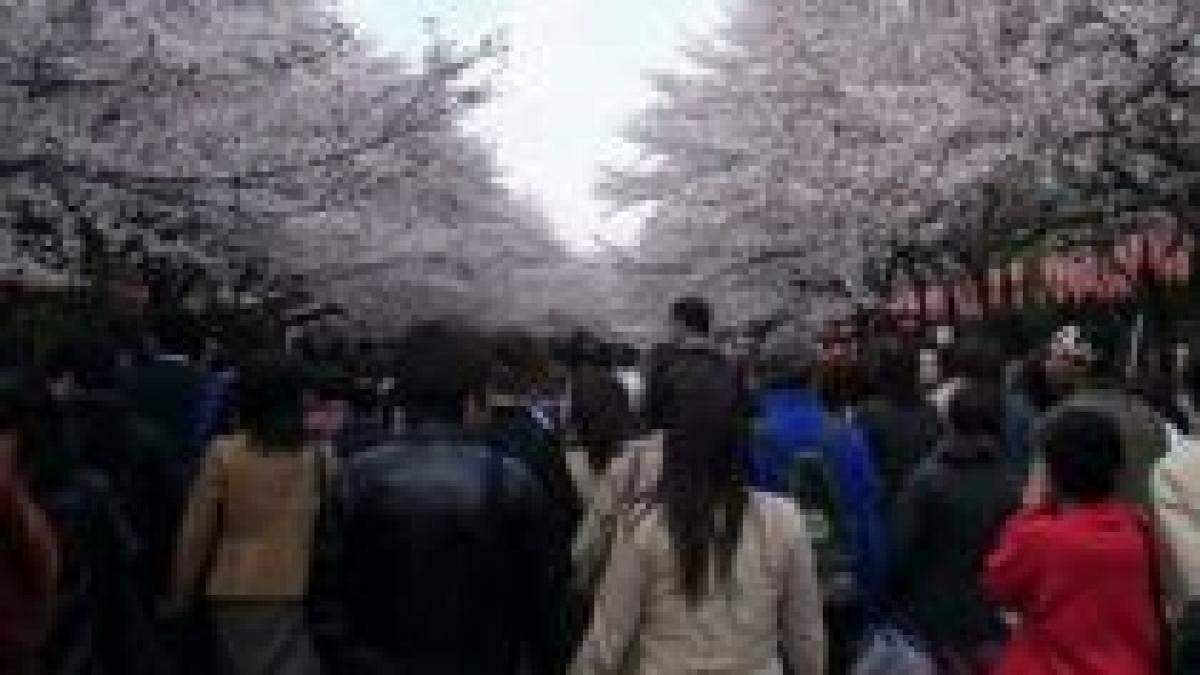 japonia tinerii au dansat in semn de protest fata de lipsa locurilor de munca