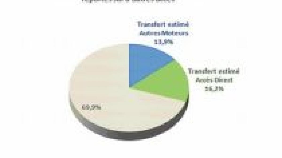 pana google a condus la o scadere de 21 a traficului pe internet
