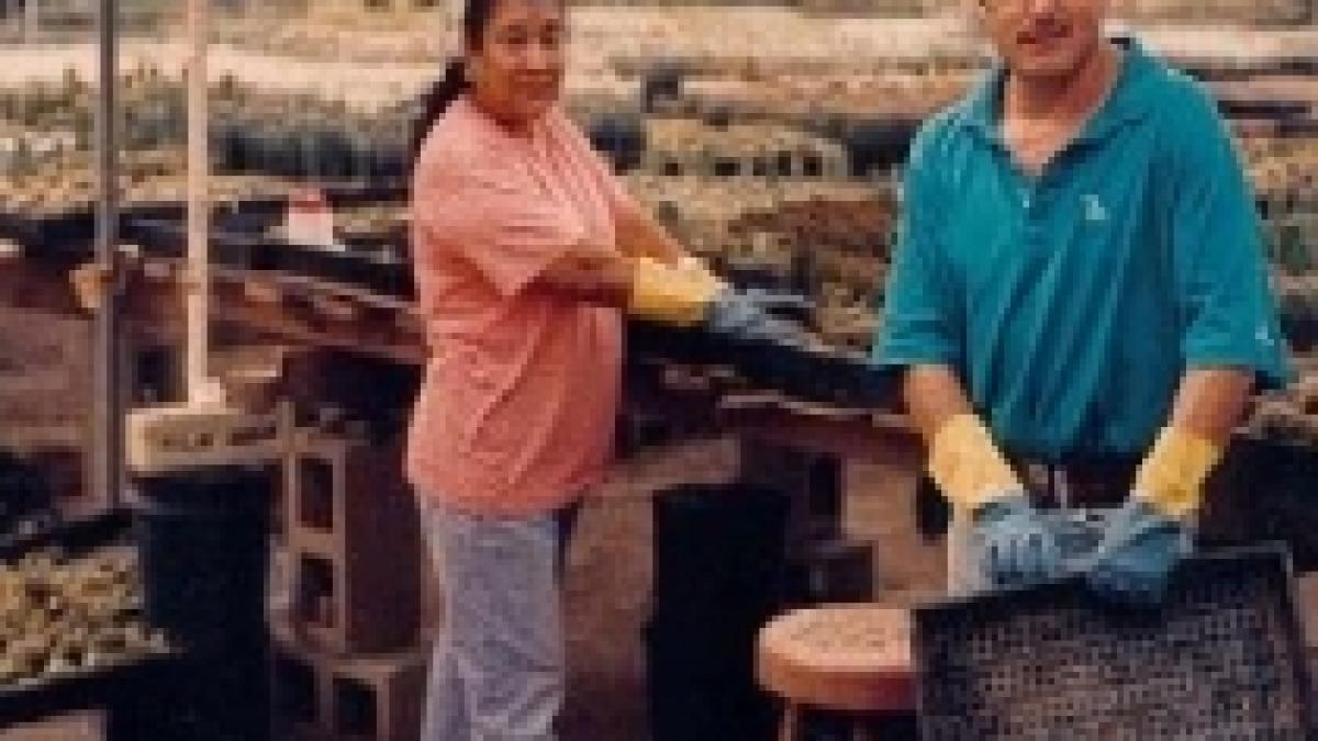 peste 4 000 de angajati disponibilizati in urmatoarele luni in judetul prahova