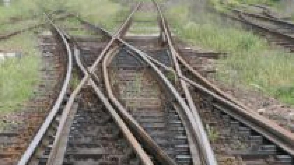 constanta un hot de fier vechi impuscat mortal de un agent de politie