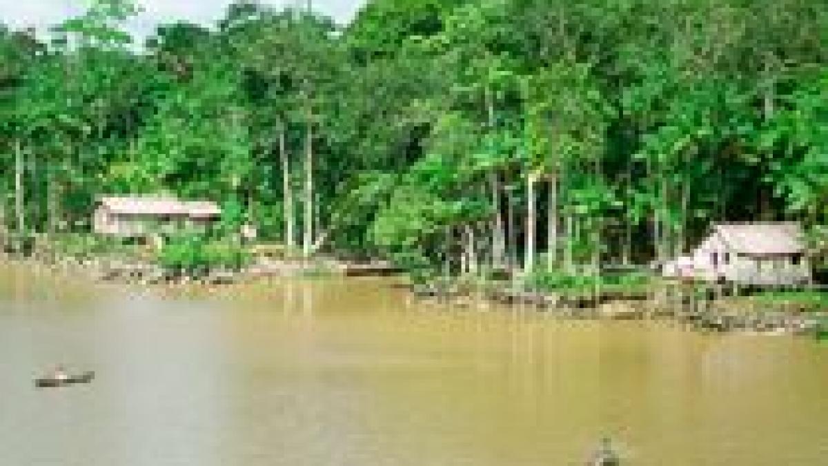 brazilia cel putin sase morti in urma prabusirii unui avion