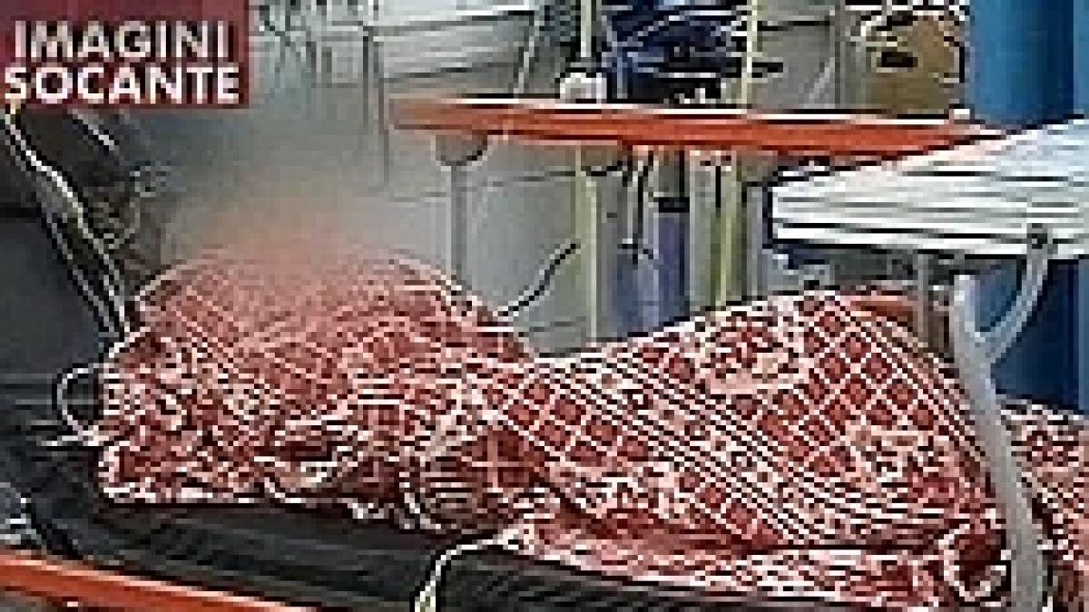 neglijata de familie o batrana care cantarea doar 25 de kg a fost internata la spitalul din galati