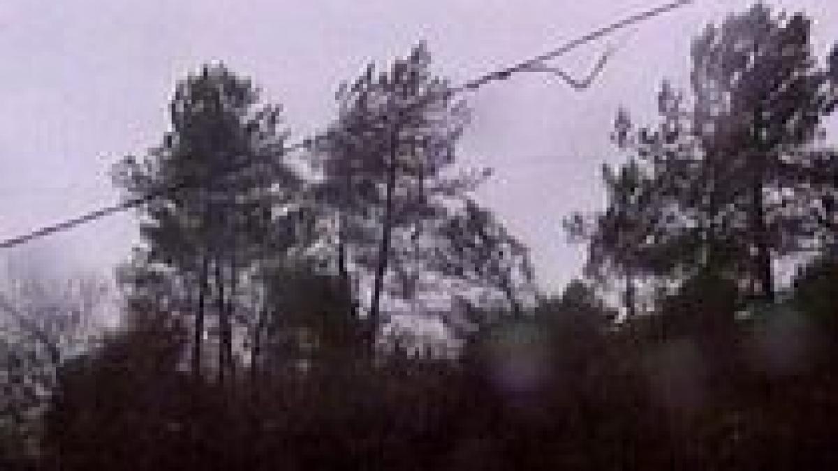 curse anulate pe aeroportul otopeni din cauza vremii nefavorabile