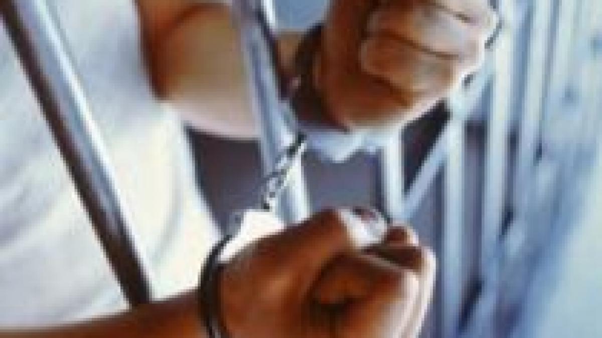 olanda doi romani au fost arestati pentru fraude bancare