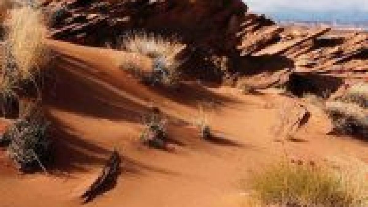 un sfert din romania se va transforma in desert