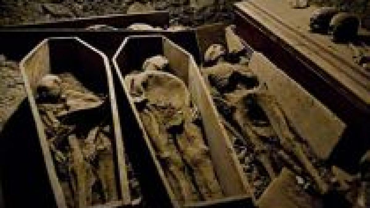 zeci de mumii vechi de 4 300 de ani descoperite in egipt