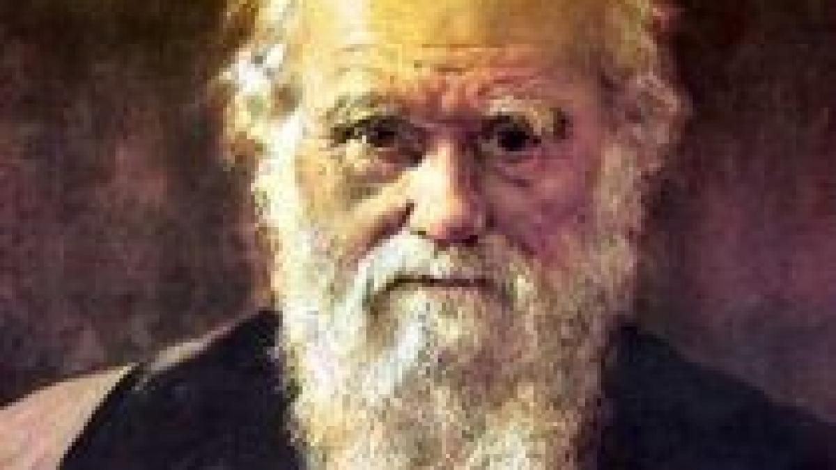 studiu cele mai mari reusite din istorie datorate unor personalitati cu probleme psihice