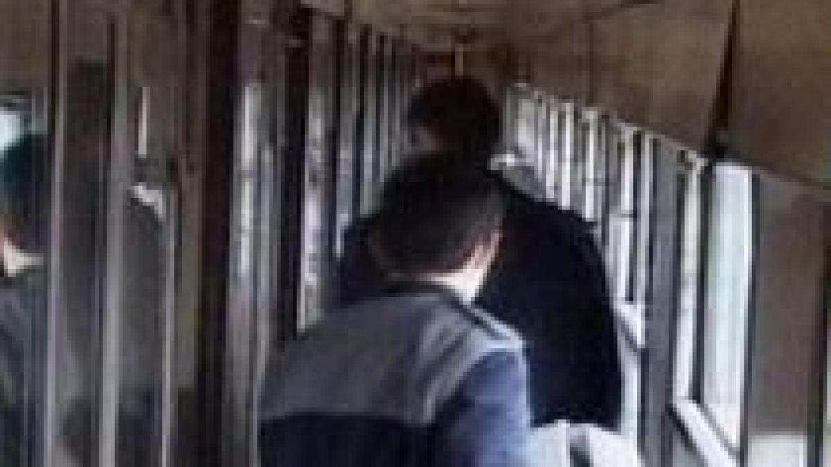 60 de pistoale cu gaz descoperite in bagajul unui bulgar care incerca sa intre in romania