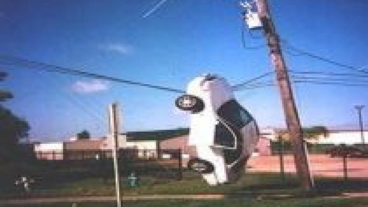 firele de inalta tensiune noile locuri de parcare foto