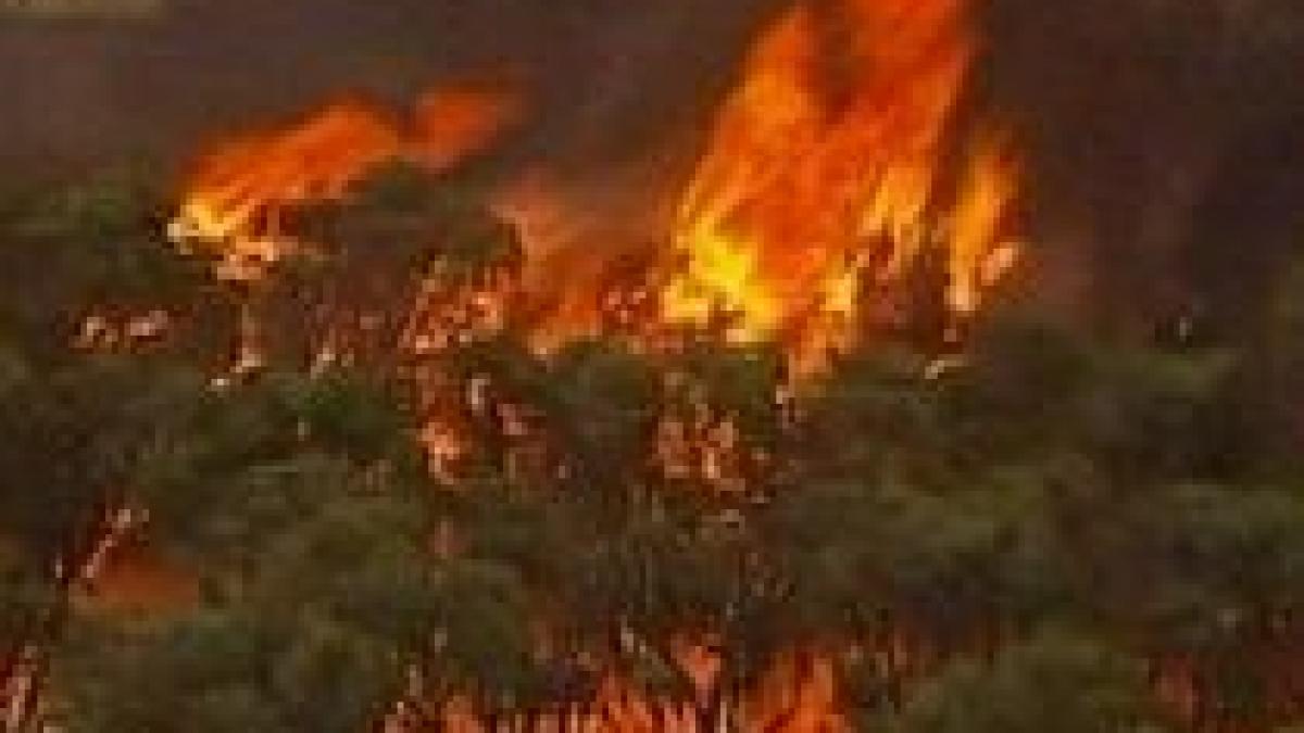 doua persoane arestate in cazul incendiilor devastatoare din australia