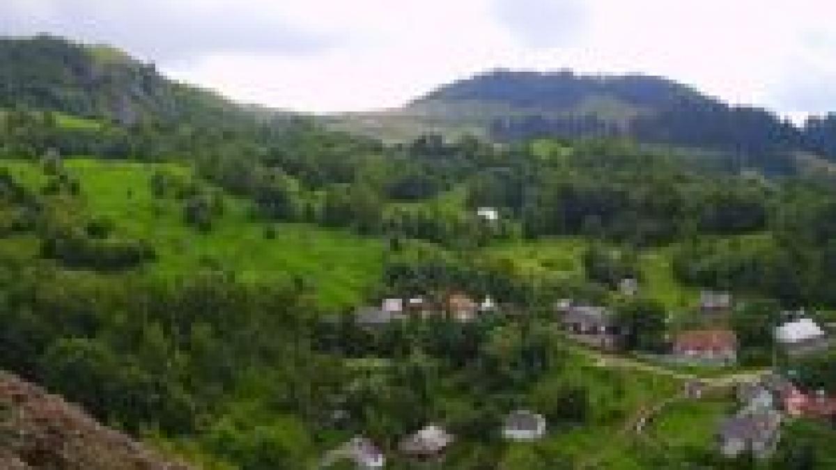 compania canadiana gabriel resources isi continua investitile de la rosia montana fara autorizatii