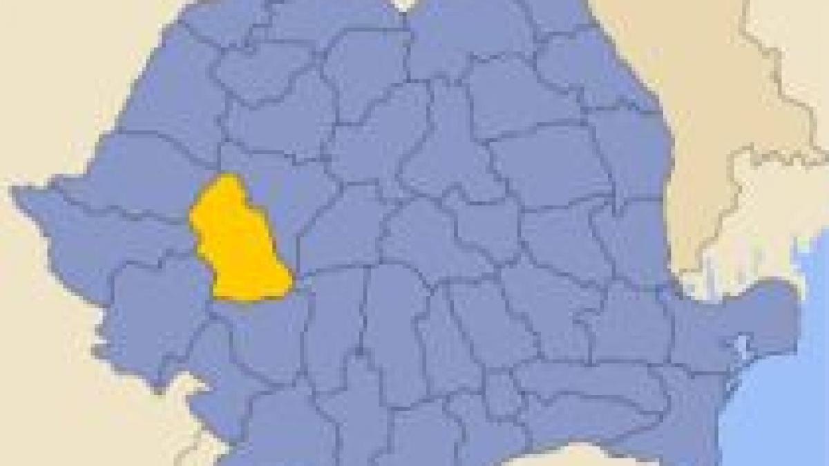 hunedoara pd l si psd au castigat alegerile la primariile orastie si soimus