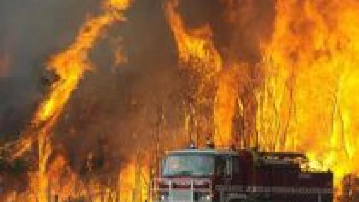 bilantul incendiilor din australia a ajuns la 200 de morti