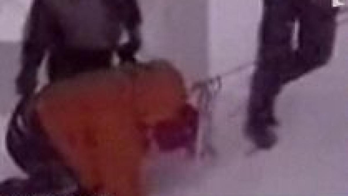 imagini socante cu alpinistul federico campanini lasat sa moara pe un munte de salvamontisti