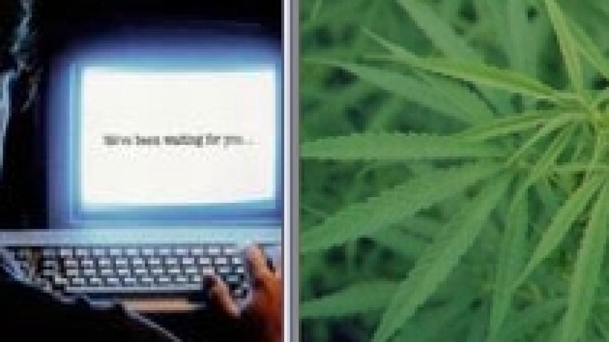 internetul prietenul cel mai bun al traficantilor de droguri