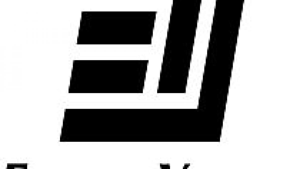 ernst young ce strategii aplica marile companii in perioada de criza