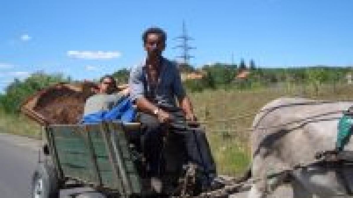 financial times romii primii afectati de criza financiara din ungaria