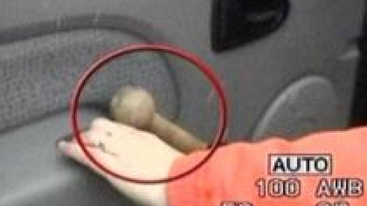 alegeri cu scandal deputatul daniel barbulescu cu bata in masina parlamentului video