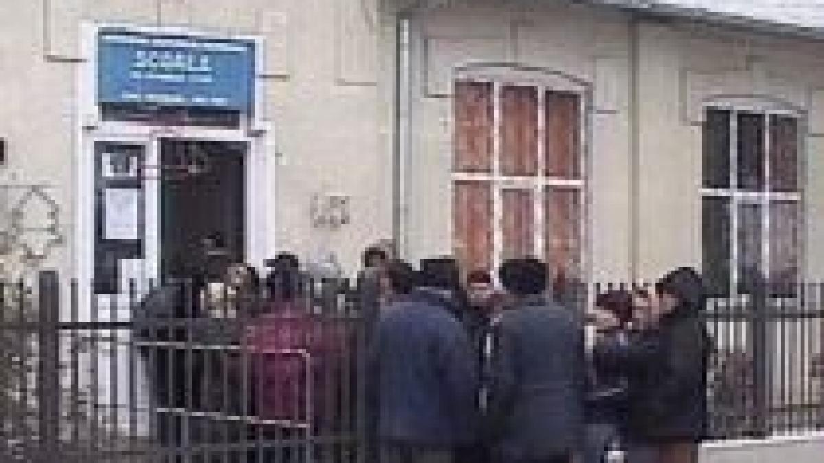 alegeri locale in trei localitati din judetele timis bihor si olt