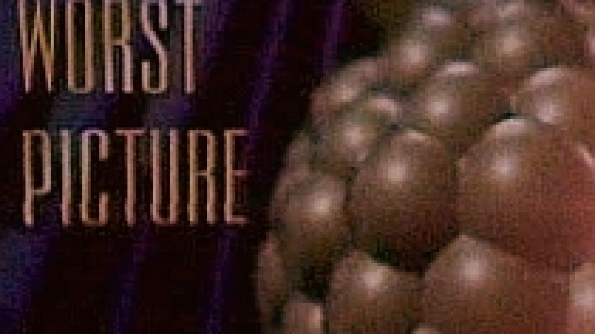 zmeura de aur 2009 mike myers si paris hilton marii castigatori video